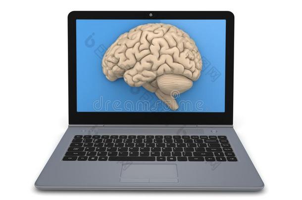 头脑风暴大脑的大脑计算机皮层