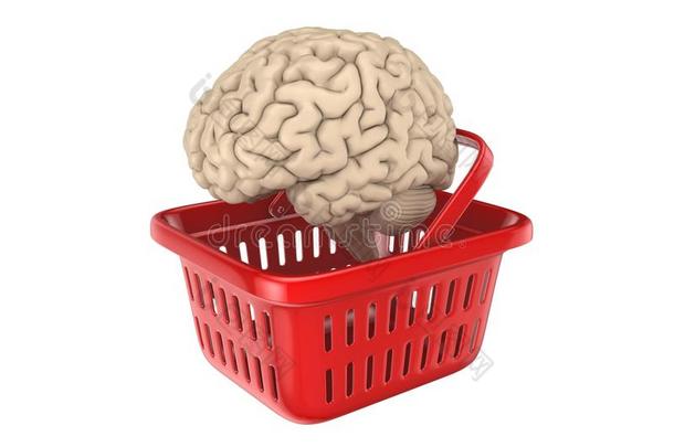 篮子生物学头脑风暴大脑的大脑