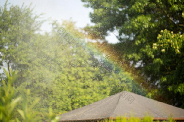 浇水后花园里夏天的颜色。 彩虹