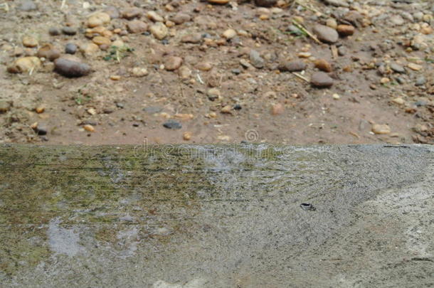 草地柠檬草灰浆沟槽水