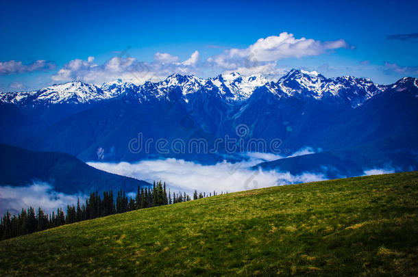 在飓风岭有山景的草地