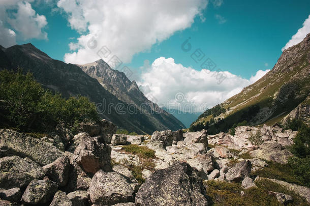 高加索山脉美丽的山谷和山峰，高加索山脉的主要山脊。 北高加索