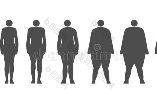 人类的动态肥胖