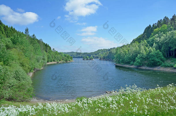 浆果饮水机德国湖土地