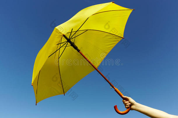 天上的黄伞