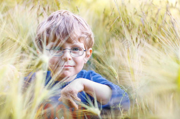 可爱的学龄前儿童男孩戴着眼镜在麦田