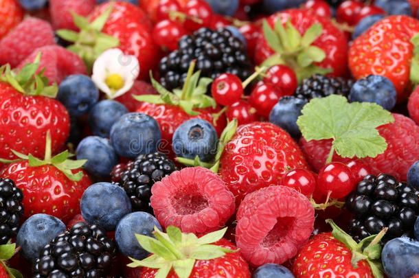 浆果水果与草莓、蓝莓和樱桃混合