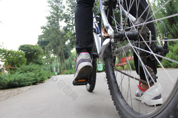 在公园里骑自行车的人。 一个骑自行车的人在路上向前骑。 体育生活。