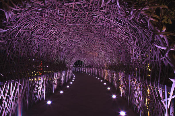 亚洲竹子桥明亮的电灯泡