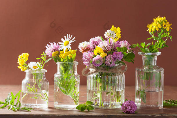 五颜六色的医疗花和草药在罐子里