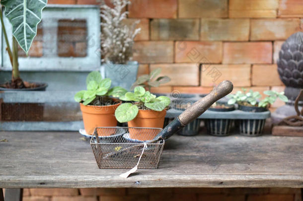 花园工具在铁丝篮与植物盆栽背景