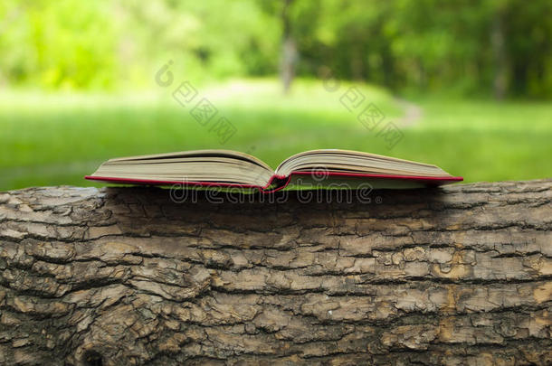 树上的书。