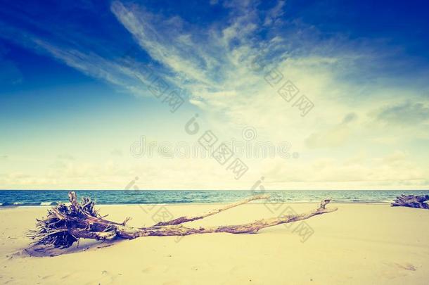 摘要波罗的海海滩美丽的蓝色