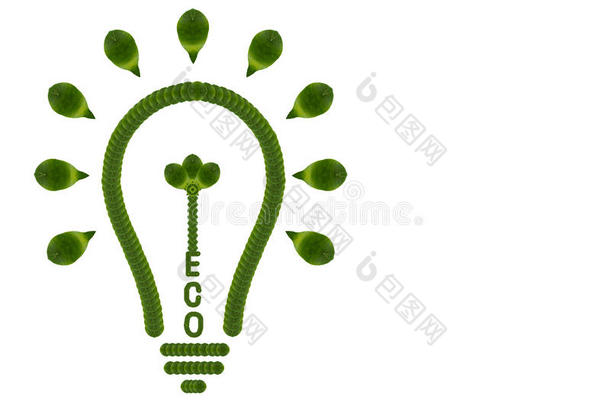 电灯泡概念生态的生态生态学