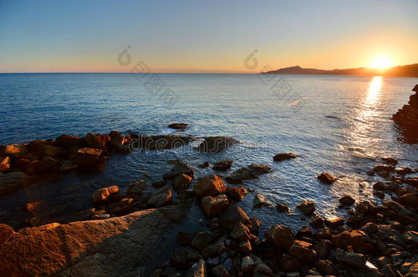 海湾海滩腹部黑色蓝色