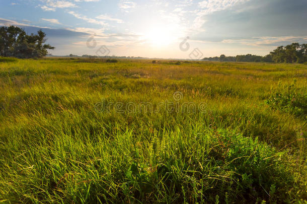 晚上的田野场景