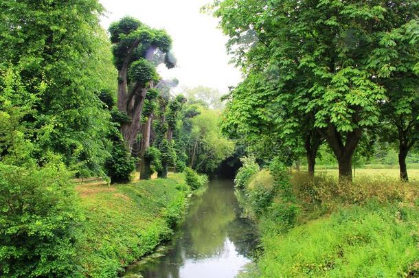 美丽的容忍小溪英国旺盛