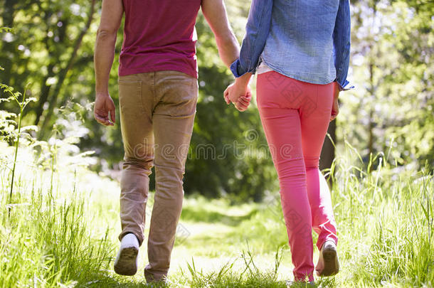 靠近年轻夫妇在夏天的乡村散步