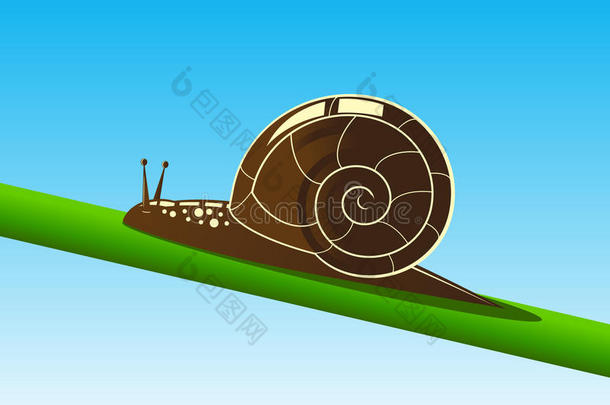 蜗牛。