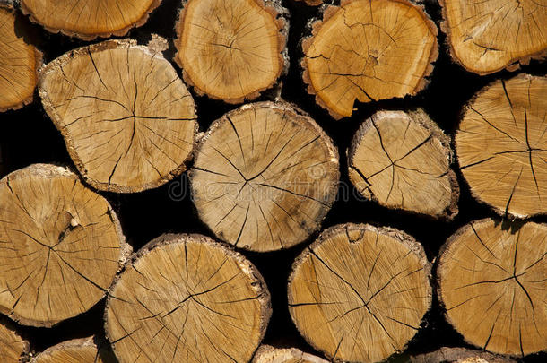 木材的横截面。 一叠干燥的木柴，存放在冬天