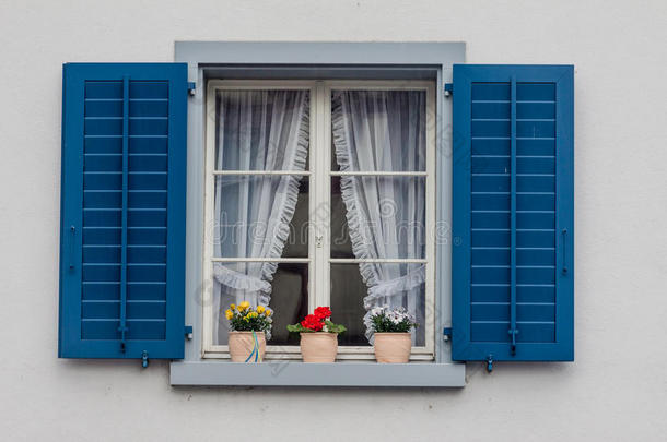 瑞士莱茵标准窗户