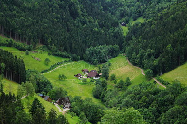 乡村生活在黑色森林山谷景观中