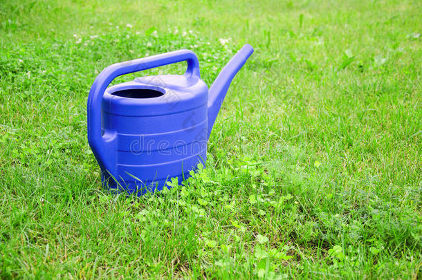 绿色草坪上的蓝色塑料浇水罐