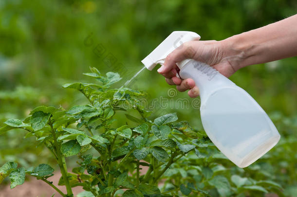 农业的农业雾化器床灌木