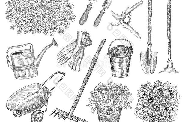 有花园工具和植物的大集合