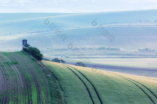 农业美丽的乡村欧洲欧洲的