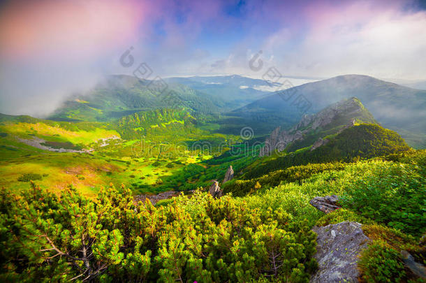 五彩缤纷的夏季日出在雾蒙蒙的喀尔巴阡山。