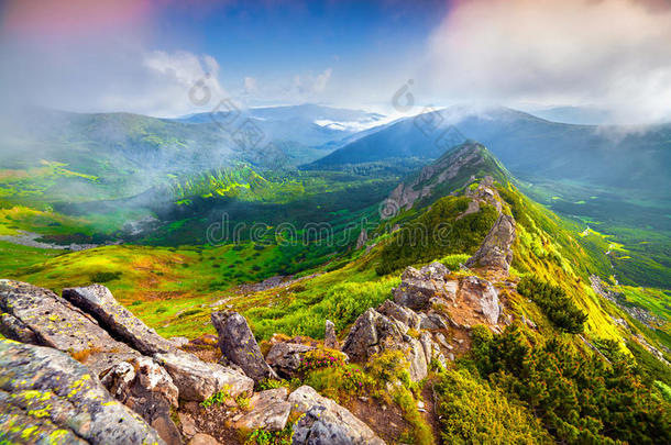 五彩缤纷的夏季日出在雾蒙蒙的喀尔巴阡山。
