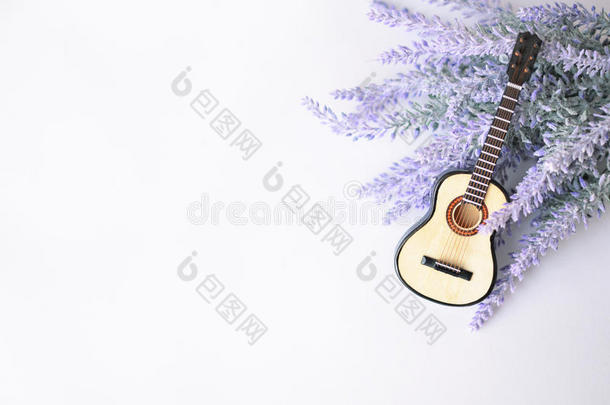 在薰衣草背景上的吉他