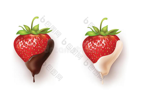 黑色和白色巧克力中美丽的草莓。