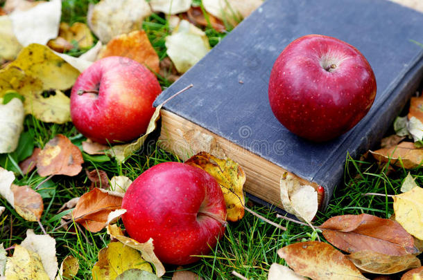 在…之间和苹果秋天背景