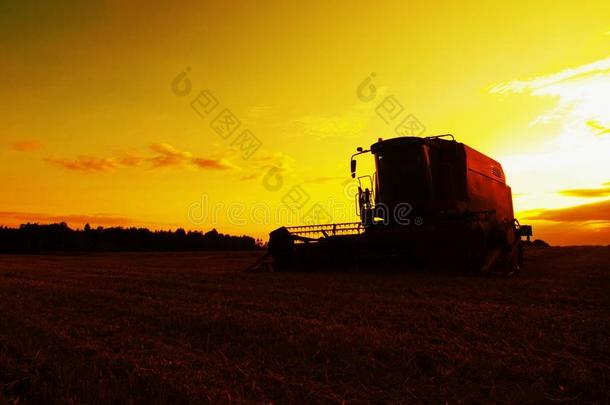 废弃的联合收获小麦在农田的中间。 早晨黄色的麦田在夕阳阴云密布的橙色天空上