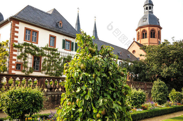 修道院花园和罗西利卡在塞利根施塔特的河岸，德国