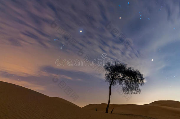 独自在干燥的阿拉伯沙漠里
