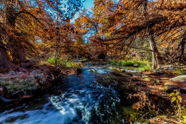 德克萨斯州瓜达卢佩河上美丽的秋天树叶。