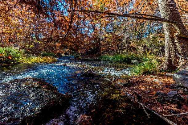 <strong>德克萨斯州</strong>瓜达卢佩河上美丽的秋天树叶。