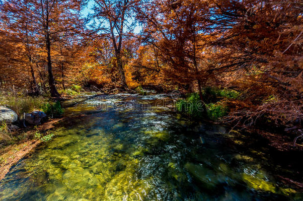 <strong>德克萨斯州</strong>瓜达卢佩河上美丽的秋天树叶。