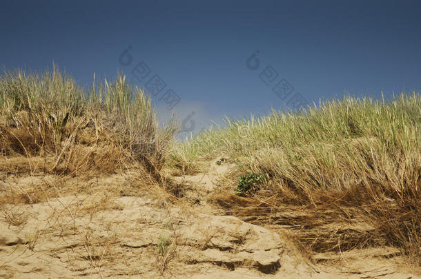 沙丘的沙子和草，自然背景与天际线，英国