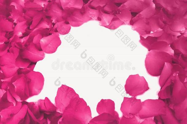 抽象粉红色玫瑰花瓣作为框架，以软焦点颜色过滤背景作为模板