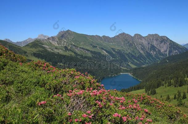 阿尔卑斯山和阿南西湖