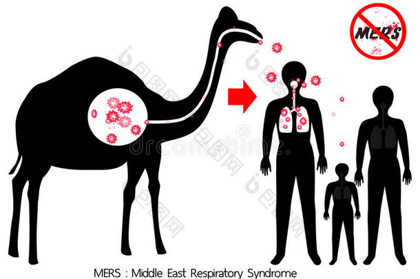 动物骆驼光晕冠状病毒病