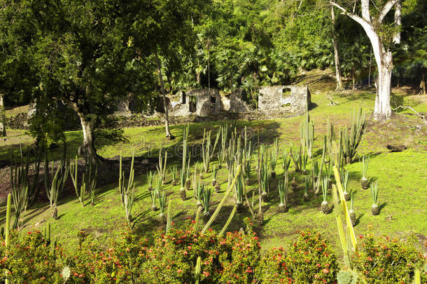 马提尼克岛风景如画的<strong>安塞</strong>拉图切花园