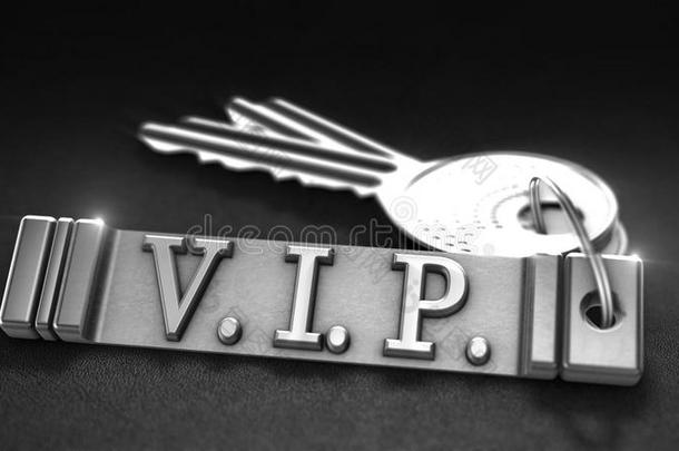 <strong>vip</strong>概念