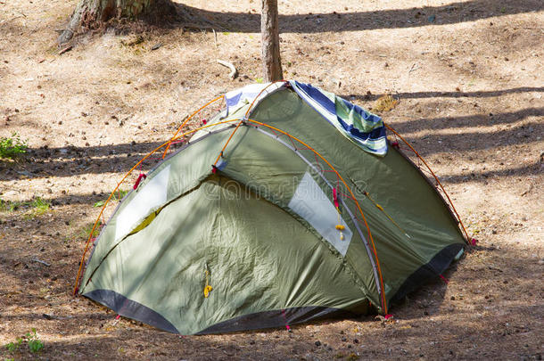 夏天在户外露营，在树林里<strong>搭帐篷</strong>