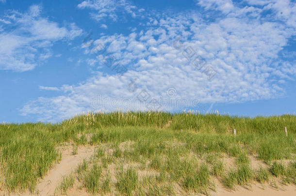海滩海岸有<strong>沙丘</strong>在<strong>阳光</strong>明媚的一天与一些美丽的云