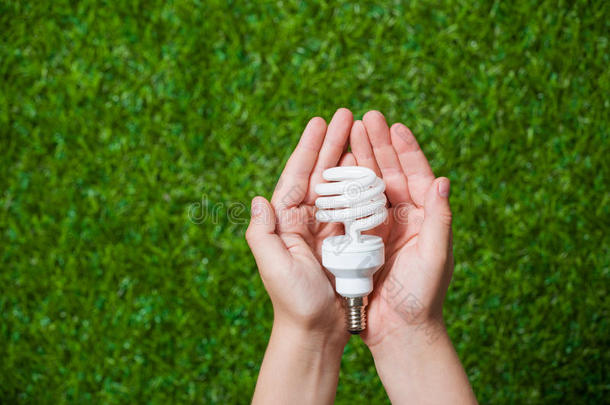 电灯泡保护生态的生态生态学